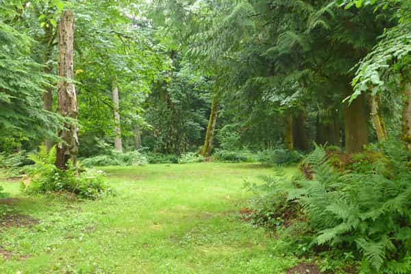 Forest Farm Retreat - Photo 2