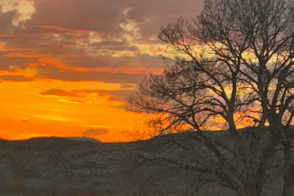 Mountain View Ranch - Photo 3