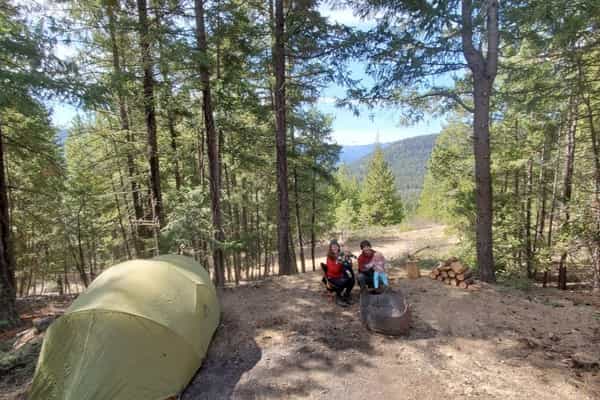 Big Cat Ranch - Photo 2