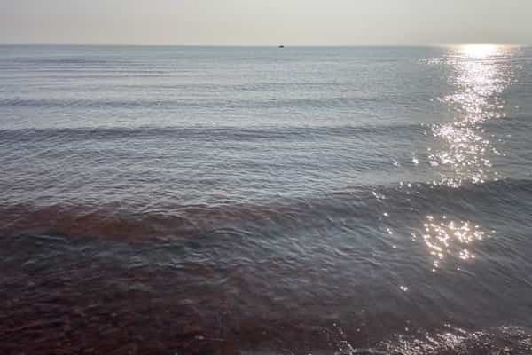 Seaside Escape - Photo 3