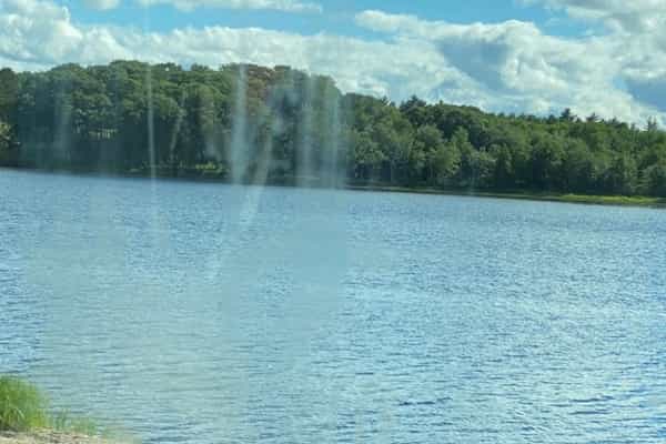 LiL Peace Of Heaven Oasis Campground - Photo 3