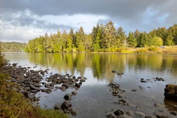 Riverside sanctuary in Northern Vancouver Island - Photo 3