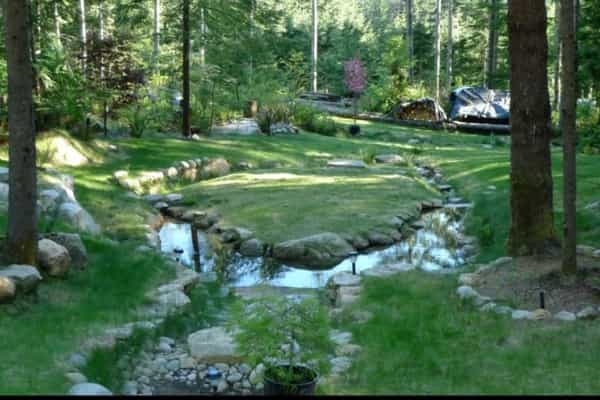 Forest Sanctuary - Photo 2