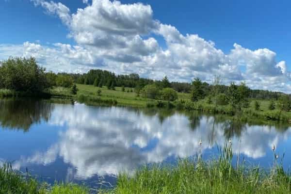 Elk Island Getaway - Photo 3