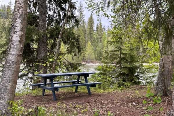 Bluestone Acres - Photo 3