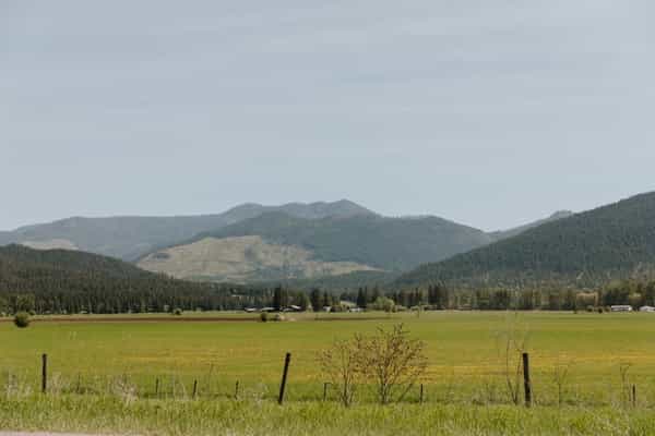 Cherryville Creek Camping - Photo 2