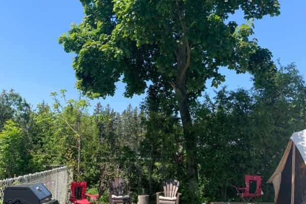 luxury glamping w/ pool & hot tub - Photo 3