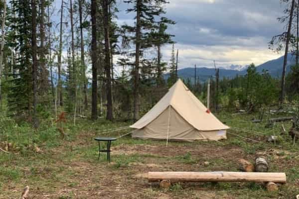 Fuzzy Buddy Ranch - Photo 3