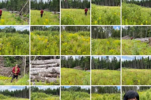 LiL Peace Of Heaven Oasis Campground - Photo 2