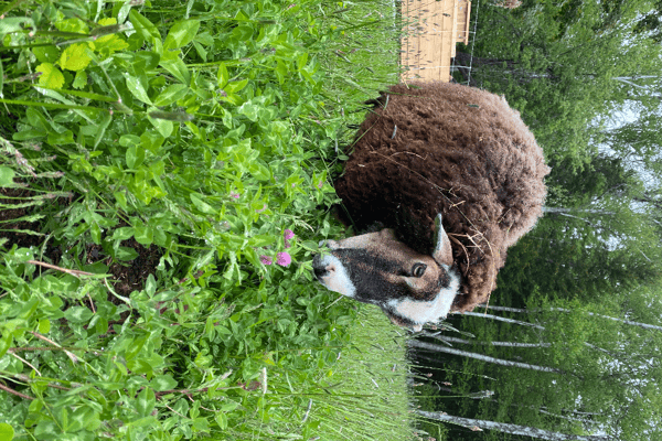 Hidden Harbour Farm - Photo 3