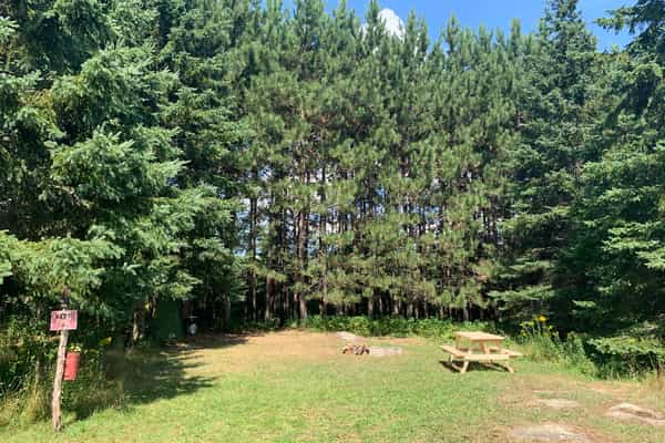 Burke's Barnyard - 420 Friendly Camping on the Farm! - Photo 3