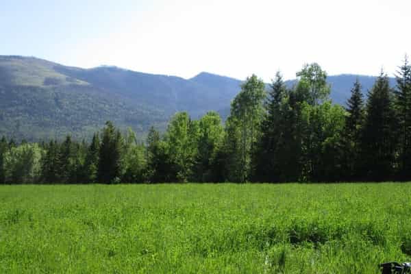 HighCroft Farm - Photo 3