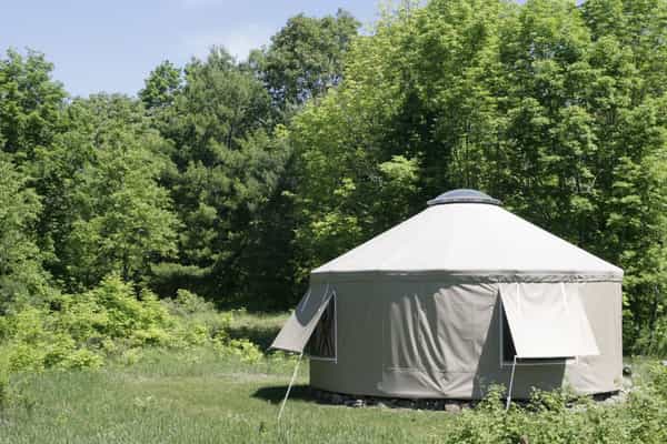Yurta Glamping / Tent Camping 50 acres nature - Photo 3