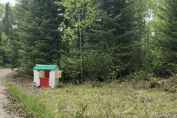 Boreal Fix - Photo 3