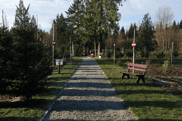 Tree Farm Retreat - Photo 2