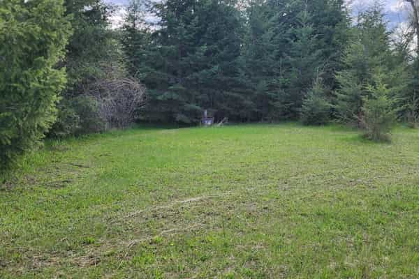 Lovage Lane Farm - Photo 3