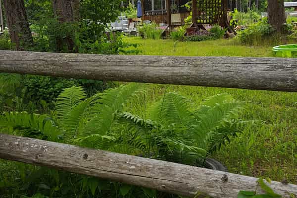 Rocky Acres - Photo 2