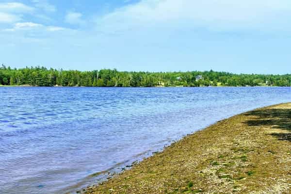 Ocean River RV Resort and Campground - Photo 2