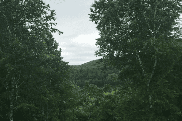 Nature at it’s best  - Photo 3