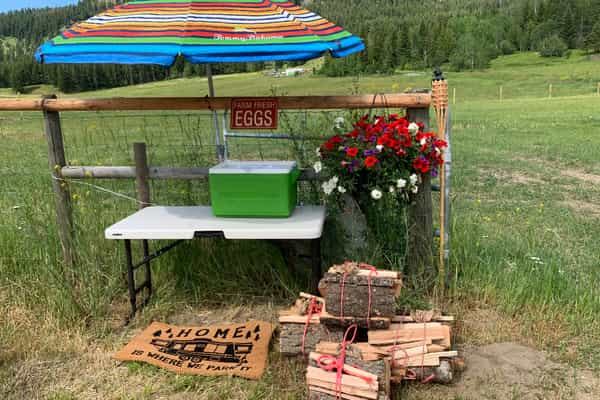 Wild Valley Farmz Camping & Events - Photo 2