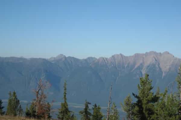 Murphy's Gold Creek Ranch - Photo 3