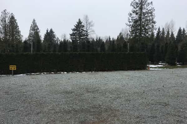 Tree Farm Retreat - Photo 3