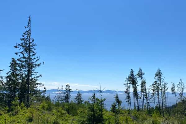 Private 80 Acre Paradise  - Photo 2