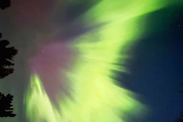 Blacknot Farm - Photo 3