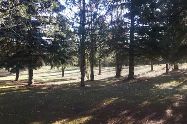 Creek's Edge - Photo 2