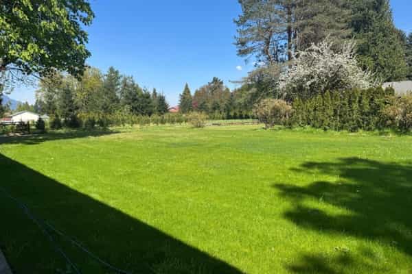 The ORCHARD - Photo 3